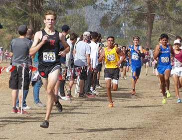 Boys/Girls Cross Country