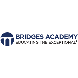 Bridges Academy